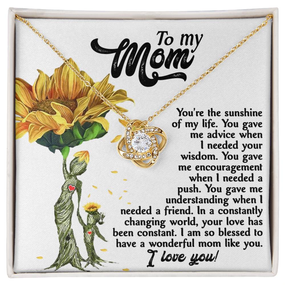 To My MOM the sunshine of my life, you gave me advice when I needed your wisdom, encouragenent when I needed a push, gave me understanding when I needed a friend