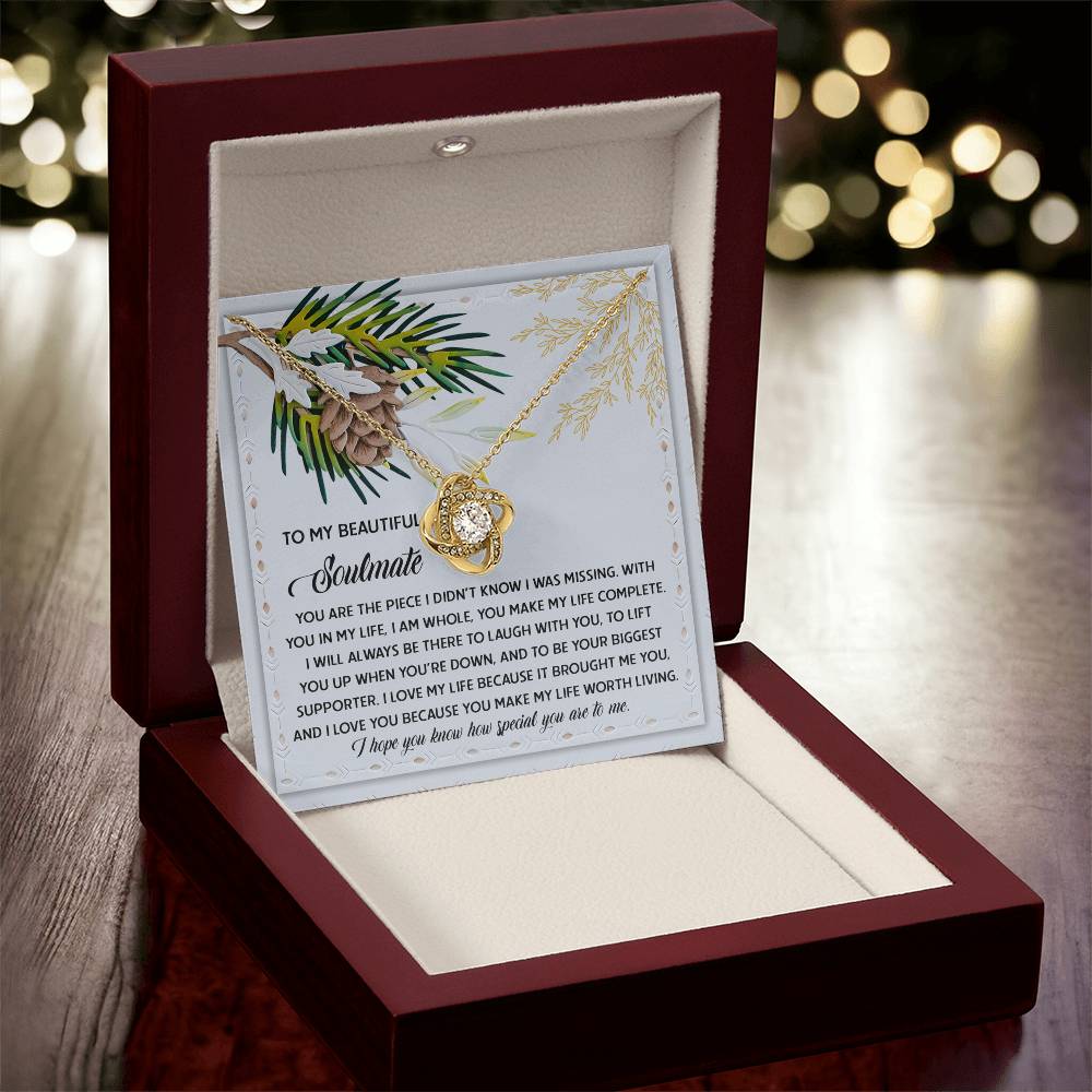 Soulmate-Biggest Supporter