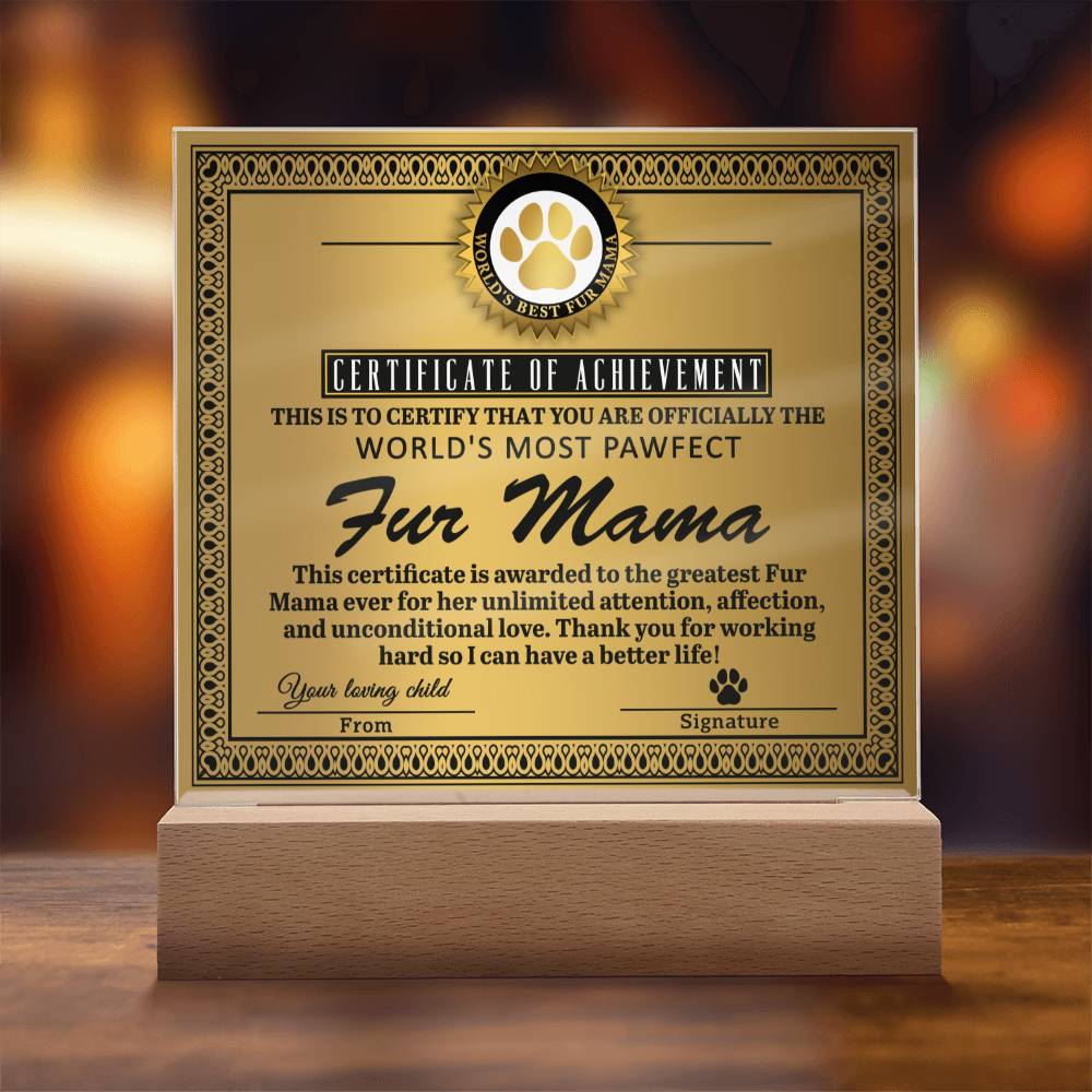 Certificate of Excellence for the World's Most Perfect Fur Mama, unlimited attention, affection, unconditional love, thank you for working hard so that I can have a better life
