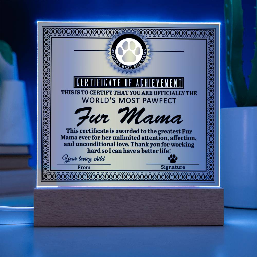 Certificate of Excellence for the World's Most Perfect Fur Mama, unlimited attention, affection, unconditional love, thank you for working hard so that I can have a better life