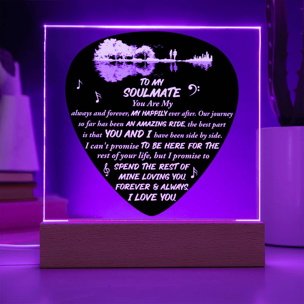 Acrylic Plaque Deco, Soulmate Gifts for Women Men, Anniversary Valentine Gift for Soulmate, Necklace For Wife From Husband, Birthday Gifts For Wife, Birthday Gifts For Soulmate, Wife Birthday Gift Ideas
