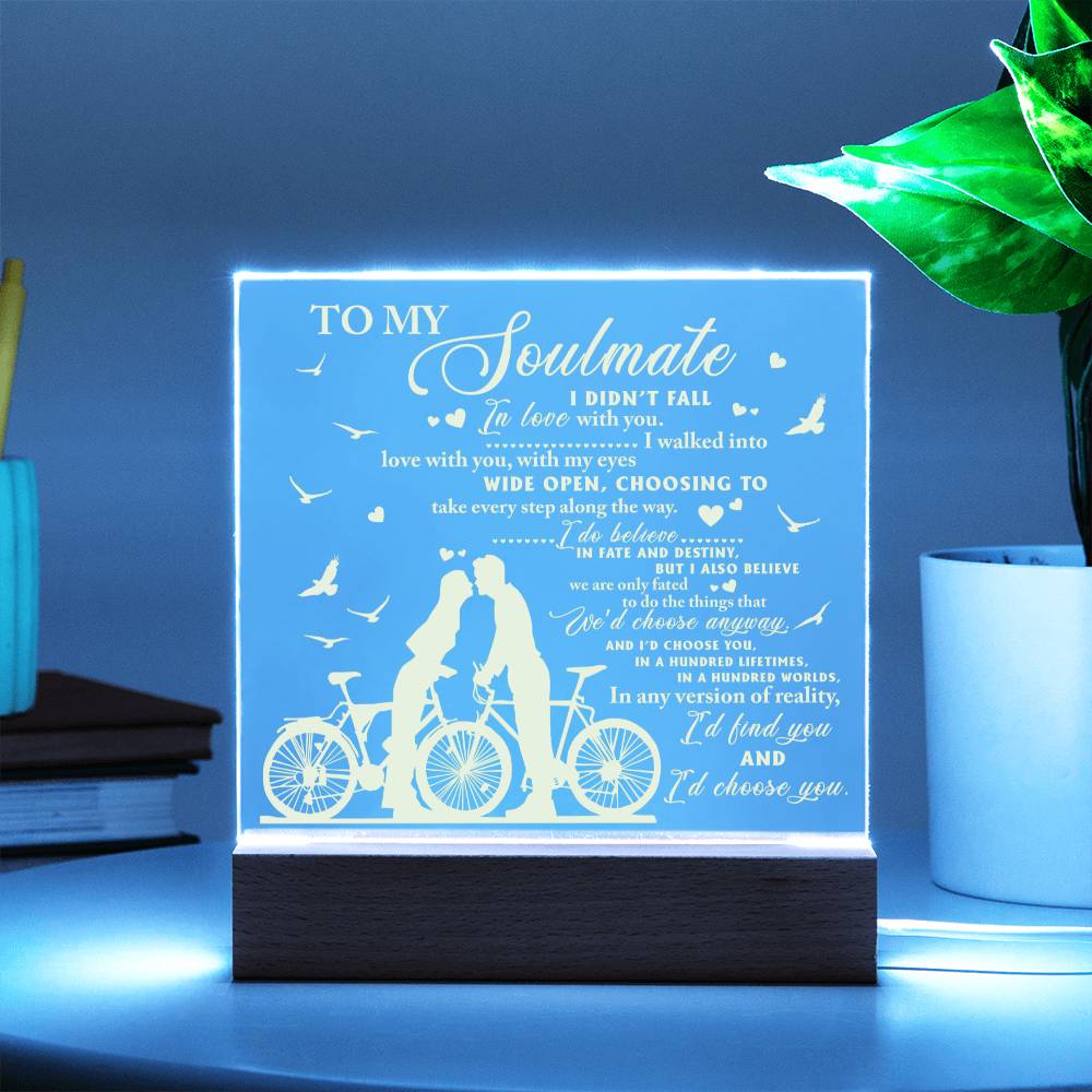 Acrylic Plaque Gifts, Soulmate Gifts for Women Men, Anniversary Valentine Gift for Soulmate, For Wife From Husband, Birthday Gifts For Wife, Birthday Gifts For Soulmate, Wife Birthday Gift Ideas