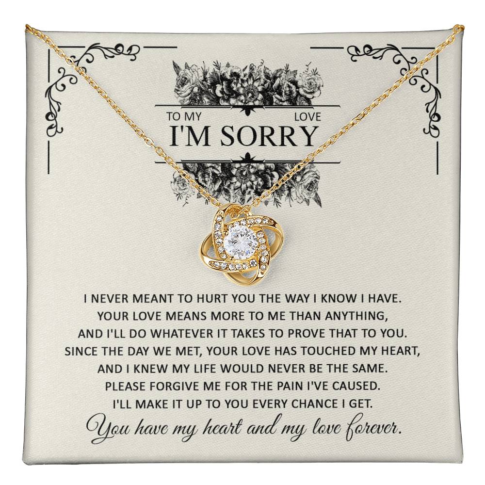 Sorry-Every Chance