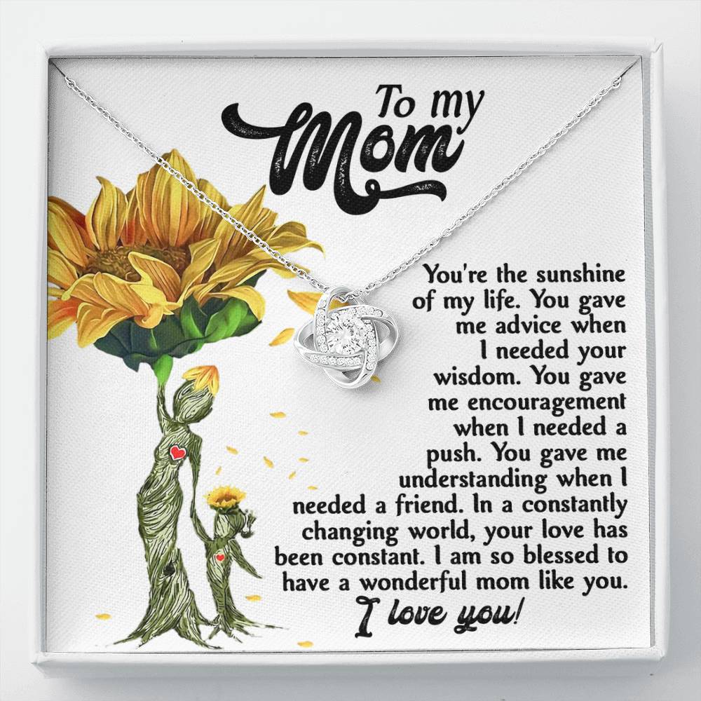 To My MOM the sunshine of my life, you gave me advice when I needed your wisdom, encouragenent when I needed a push, gave me understanding when I needed a friend