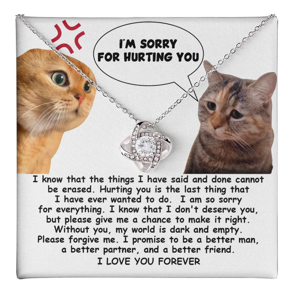 Sorry - Give Me a Chance to Make It Right, please forgive me, I promise to be a better man, a better partner, and a better friend.