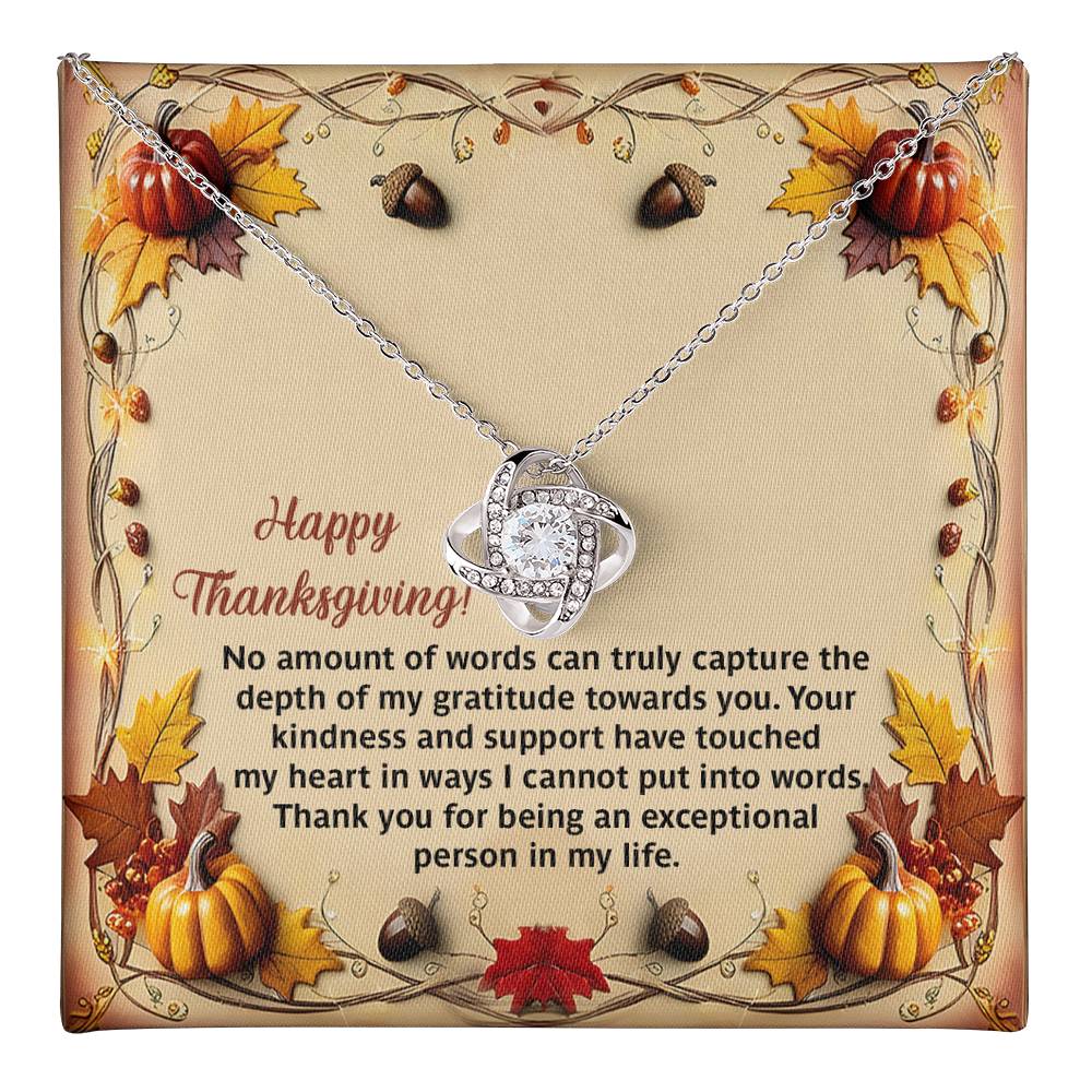 Thanksgiving-Put Into Words