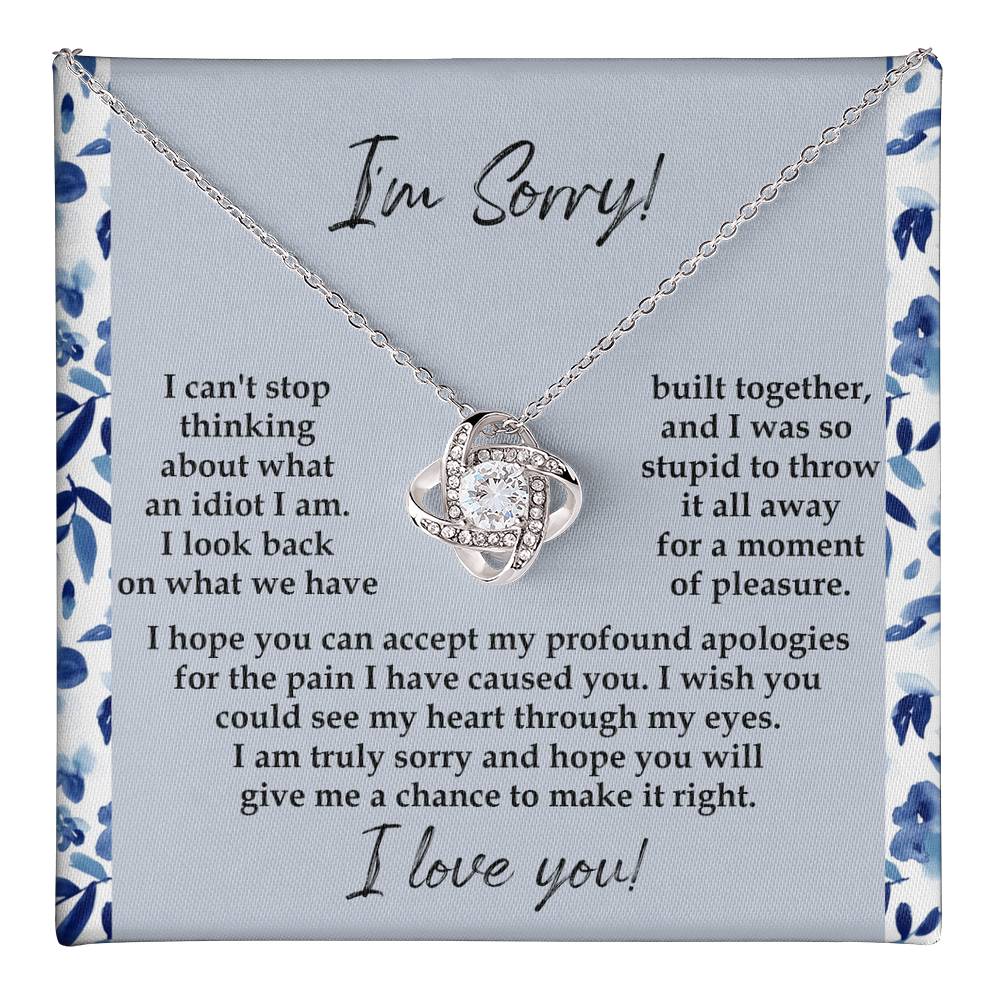Sorry - Through My Eyes