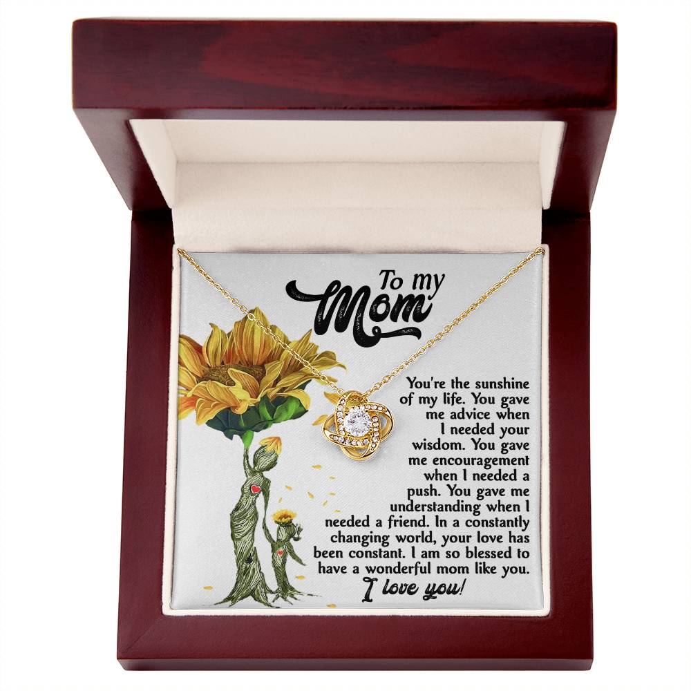 To My MOM the sunshine of my life, you gave me advice when I needed your wisdom, encouragenent when I needed a push, gave me understanding when I needed a friend