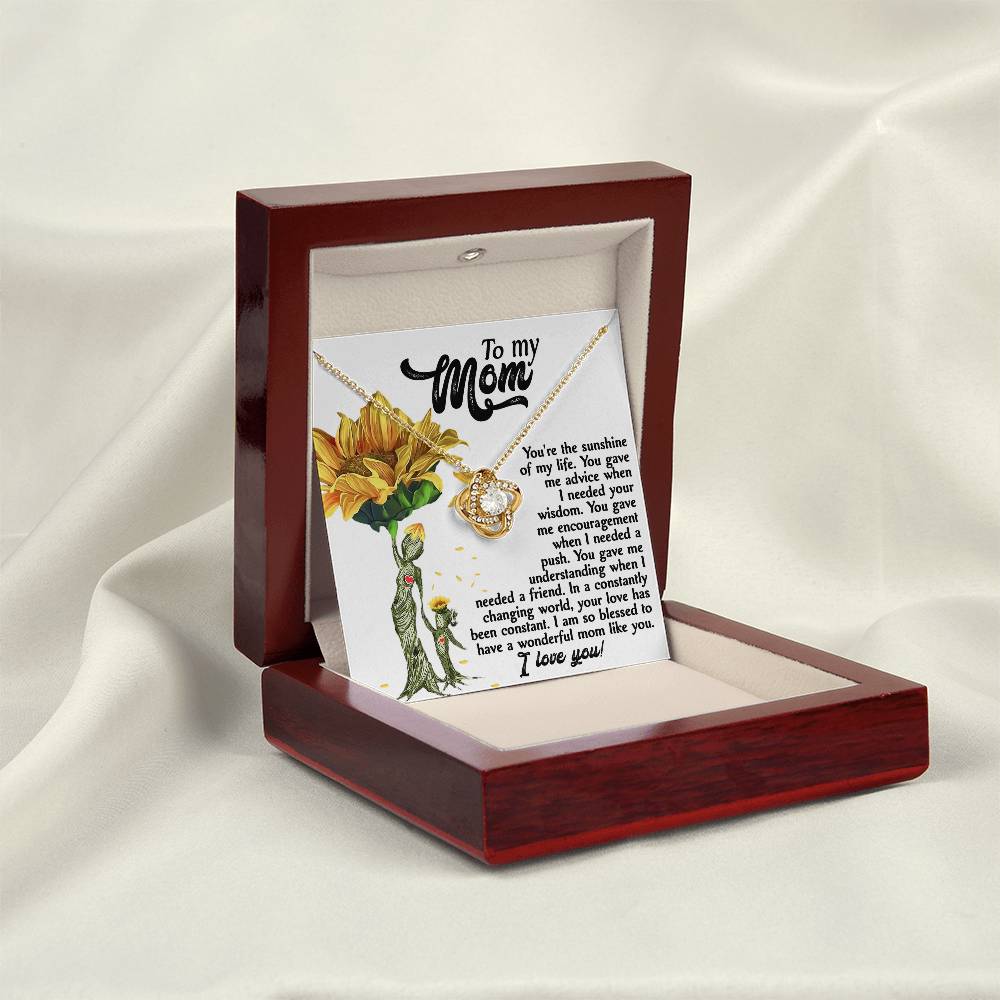 To My MOM the sunshine of my life, you gave me advice when I needed your wisdom, encouragenent when I needed a push, gave me understanding when I needed a friend