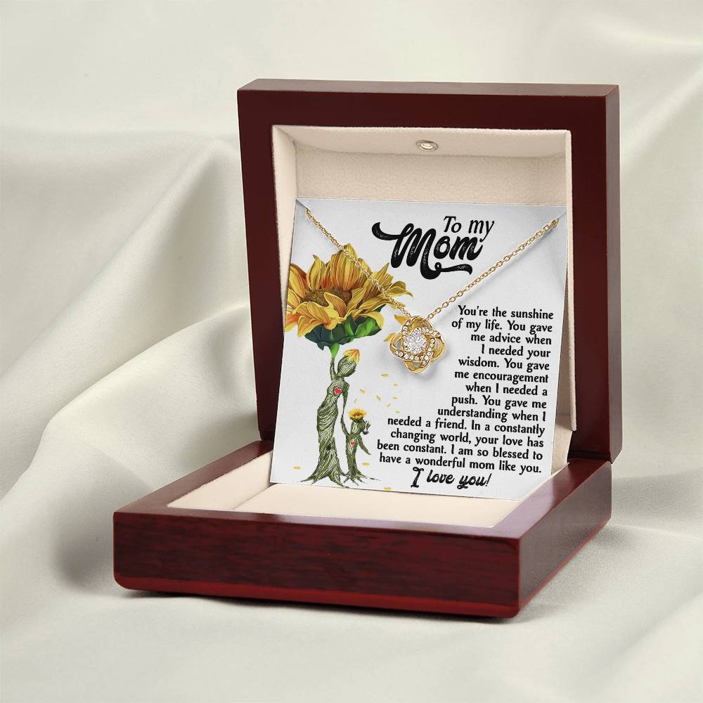 To My MOM the sunshine of my life, you gave me advice when I needed your wisdom, encouragenent when I needed a push, gave me understanding when I needed a friend