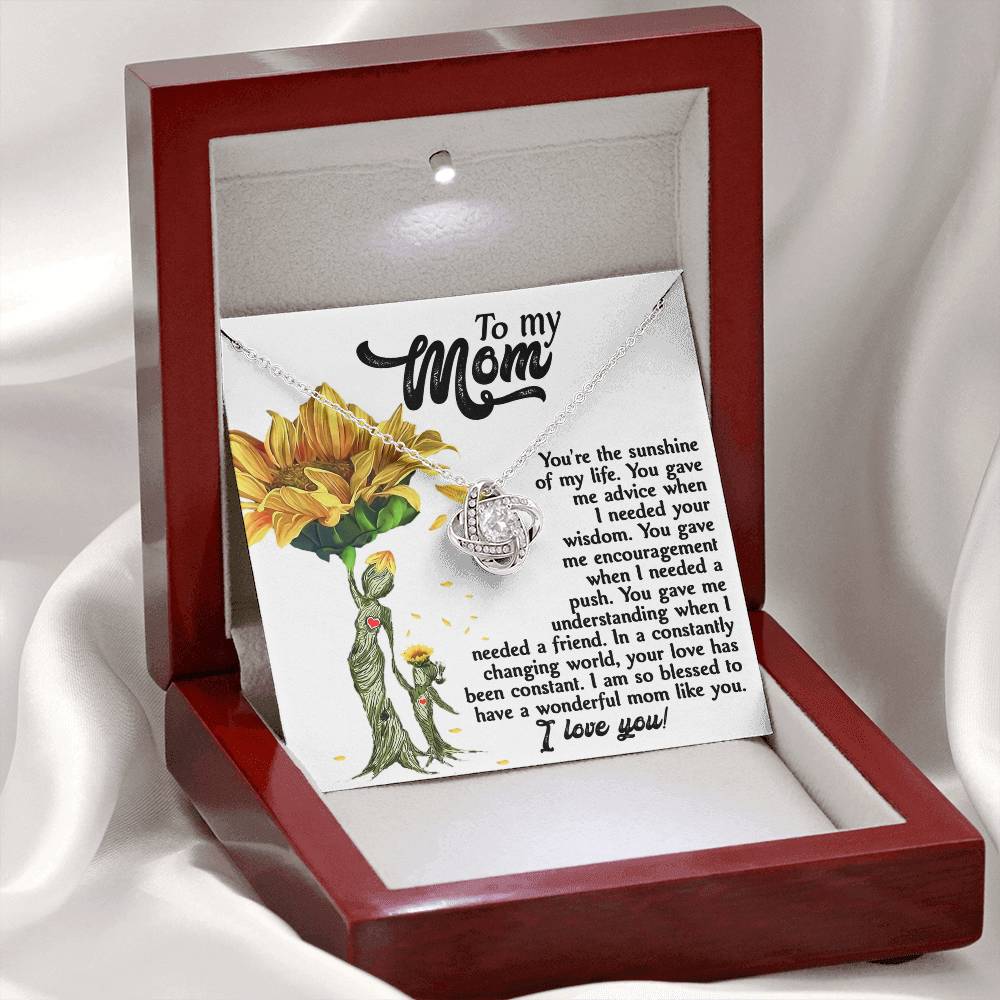 To My MOM the sunshine of my life, you gave me advice when I needed your wisdom, encouragenent when I needed a push, gave me understanding when I needed a friend