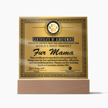Certificate of Excellence for the World's Most Perfect Fur Mama, unlimited attention, affection, unconditional love, thank you for working hard so that I can have a better life